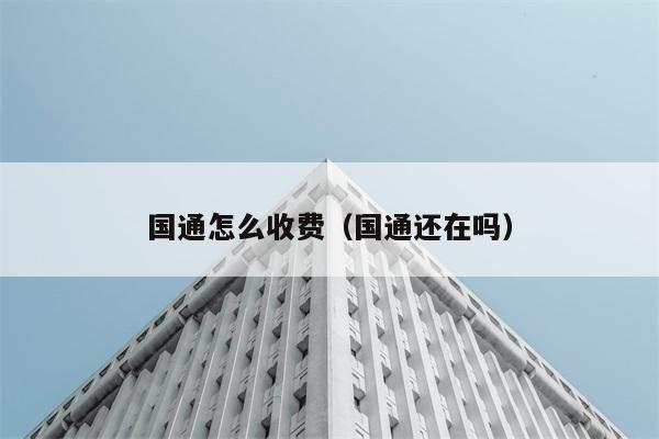 国通怎么收费（国通还在吗） 