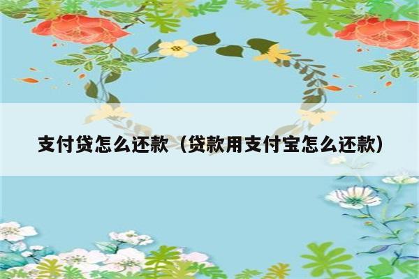 支付贷怎么还款（贷款用支付宝怎么还款） 