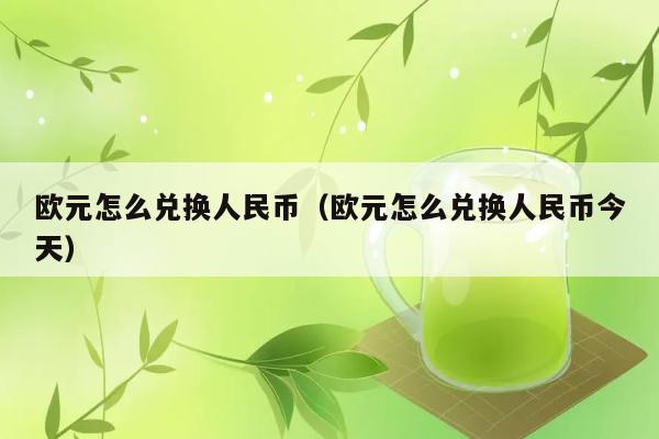 欧元怎么兑换人民币（欧元怎么兑换人民币今天） 