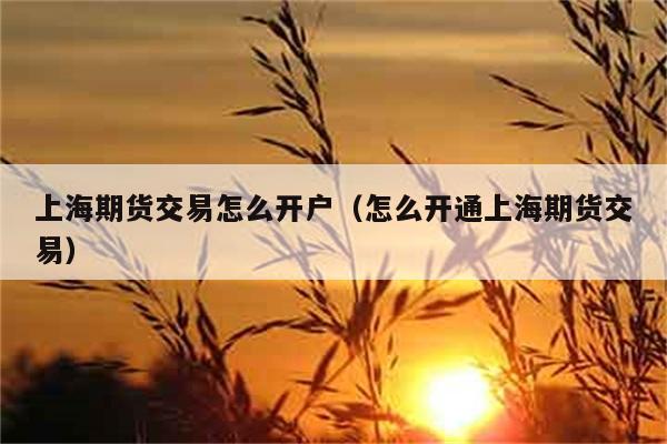 上海期货交易怎么开户（怎么开通上海期货交易） 