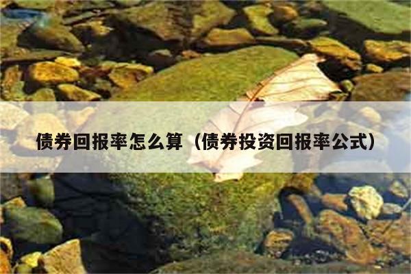 债券回报率怎么算（债券投资回报率公式） 