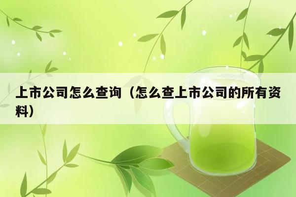 上市公司怎么查询（怎么查上市公司的所有资料） 