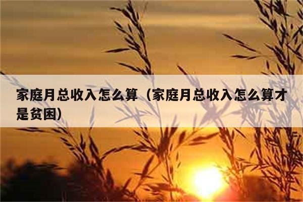 家庭月总收入怎么算（家庭月总收入怎么算才是贫困） 