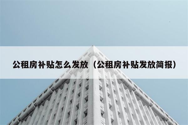 公租房补贴怎么发放（公租房补贴发放简报） 