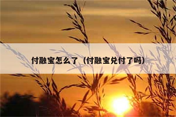 付融宝怎么了（付融宝兑付了吗） 