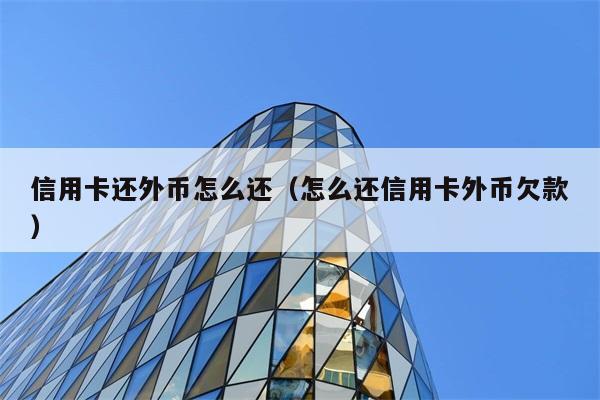 信用卡还外币怎么还（怎么还信用卡外币欠款） 