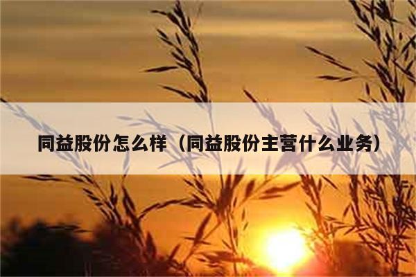 同益股份怎么样（同益股份主营什么业务） 