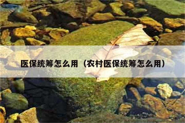 医保统筹怎么用（农村医保统筹怎么用） 