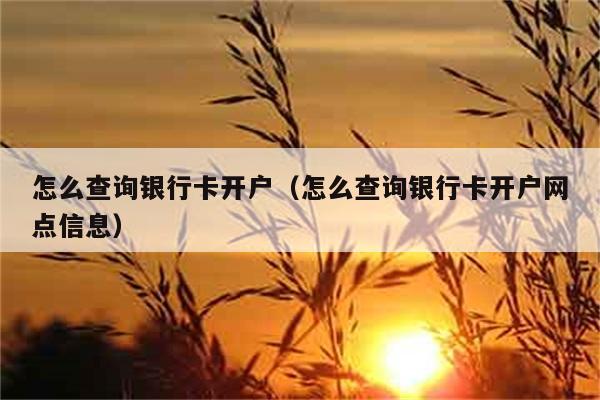 怎么查询银行卡开户（怎么查询银行卡开户网点信息） 