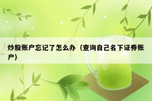 炒股账户忘记了怎么办（查询自己名下证券账户） 