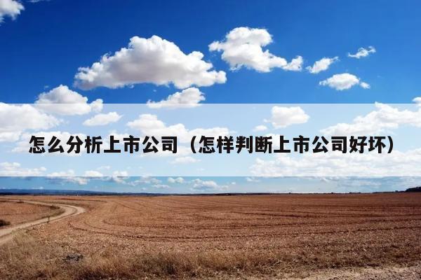 怎么分析上市公司（怎样判断上市公司好坏） 