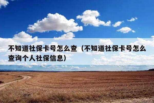 不知道社保卡号怎么查（不知道社保卡号怎么查询个人社保信息） 