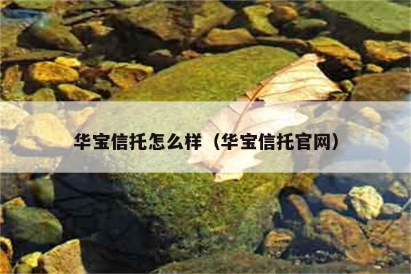 华宝信托怎么样（华宝信托官网） 