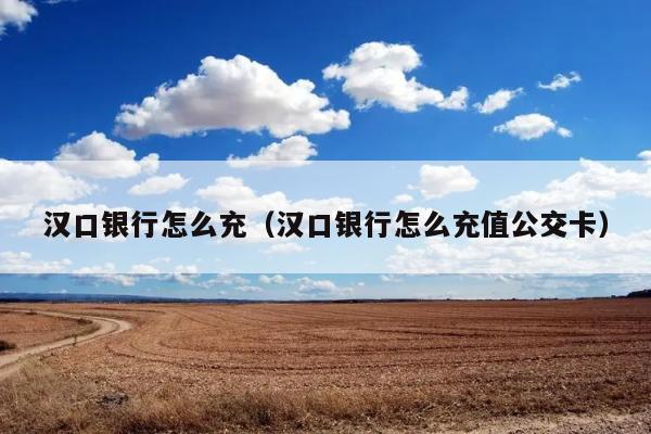 汉口银行怎么充（汉口银行怎么充值公交卡） 