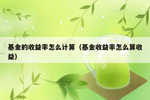 基金的收益率怎么计算（基金收益率怎么算收益） 