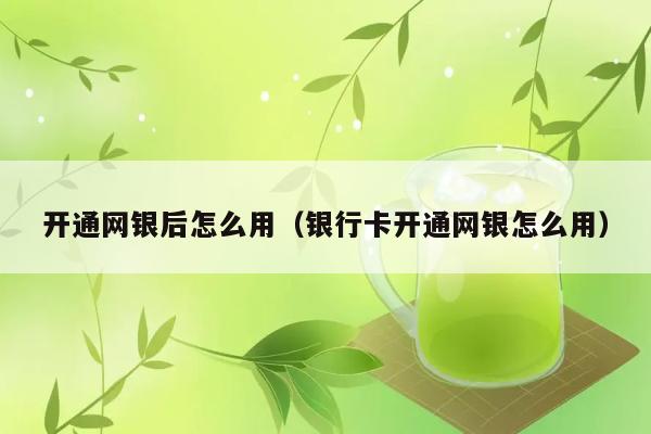 开通网银后怎么用（银行卡开通网银怎么用） 