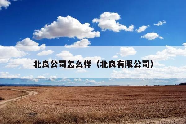 北良公司怎么样（北良有限公司） 