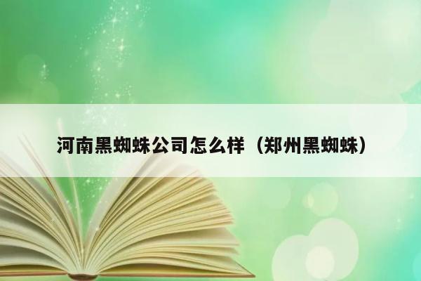 河南黑蜘蛛公司怎么样（郑州黑蜘蛛） 