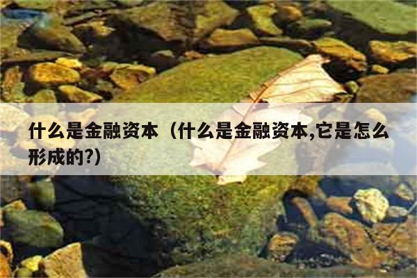 什么是金融资本（什么是金融资本,它是怎么形成的?） 