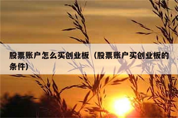 股票账户怎么买创业板（股票账户买创业板的条件） 