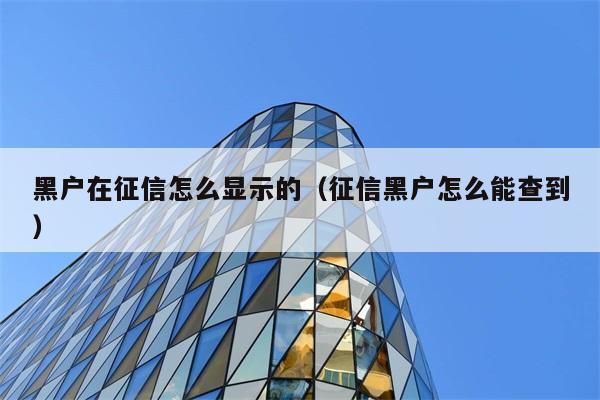 黑户在征信怎么显示的（征信黑户怎么能查到） 