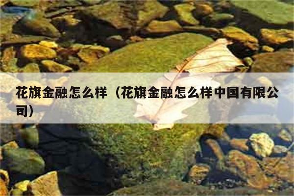 花旗金融怎么样（花旗金融怎么样中国有限公司） 