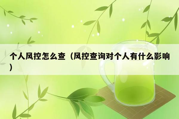 个人风控怎么查（风控查询对个人有什么影响） 