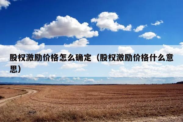 股权激励价格怎么确定（股权激励价格什么意思） 