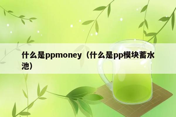 什么是ppmoney（什么是pp模块蓄水池） 