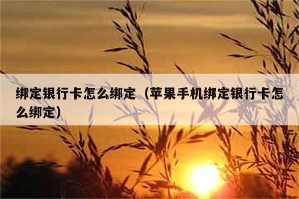 绑定银行卡怎么绑定（苹果手机绑定银行卡怎么绑定） 