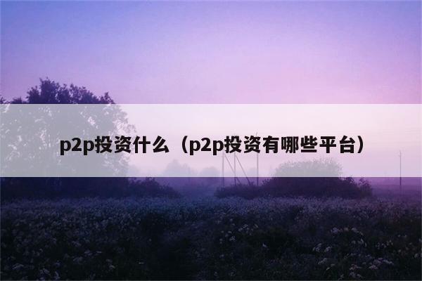 p2p投资什么（p2p投资有哪些平台） 