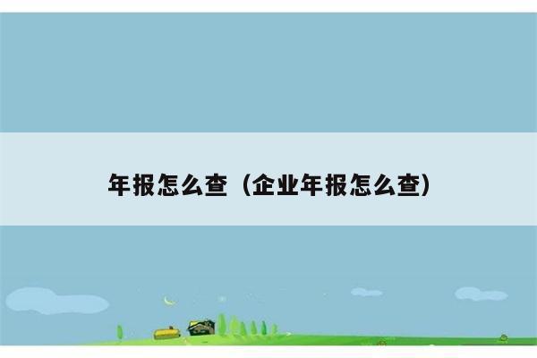 年报怎么查（企业年报怎么查） 