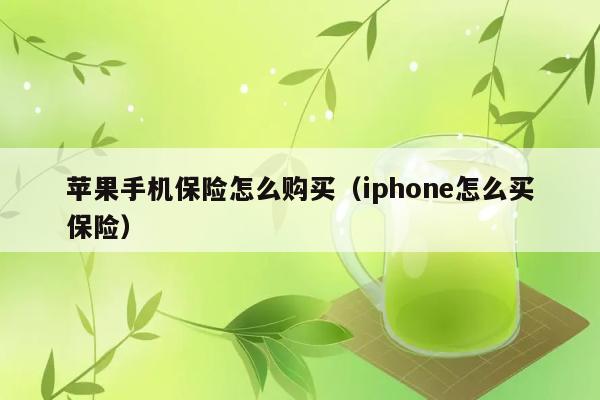 苹果手机保险怎么购买（iphone怎么买保险） 