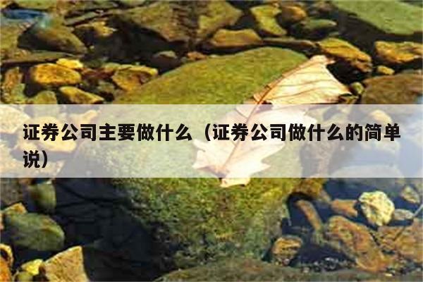 证券公司主要做什么（证券公司做什么的简单说） 