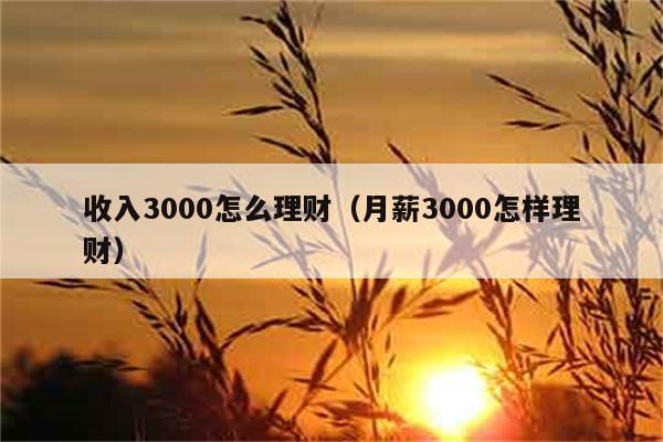 收入3000怎么理财（月薪3000怎样理财） 