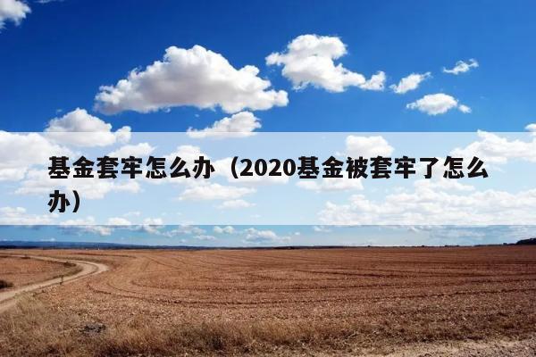 基金套牢怎么办（2020基金被套牢了怎么办） 