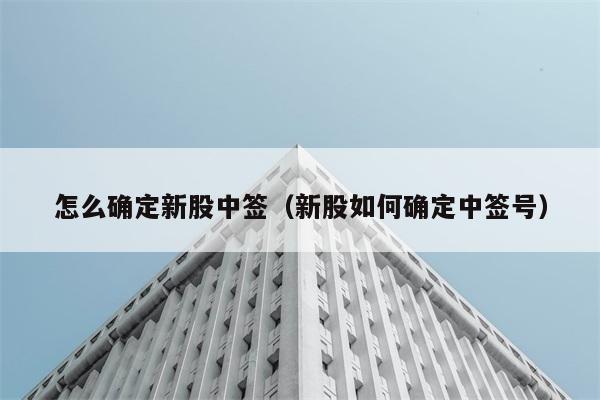 怎么确定新股中签（新股如何确定中签号） 