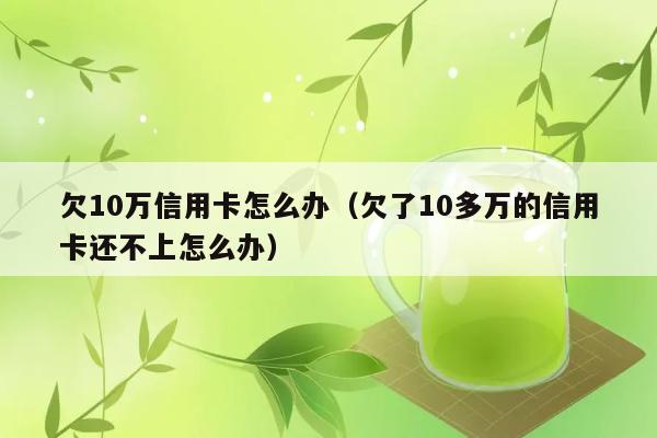 欠10万信用卡怎么办（欠了10多万的信用卡还不上怎么办） 