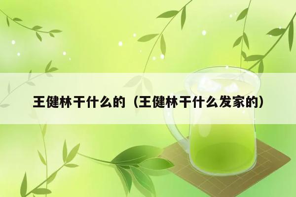 王健林干什么的（王健林干什么发家的） 