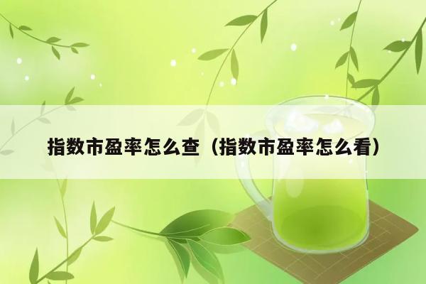 指数市盈率怎么查（指数市盈率怎么看） 