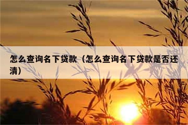 怎么查询名下贷款（怎么查询名下贷款是否还清） 