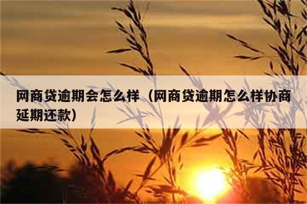 网商贷逾期会怎么样（网商贷逾期怎么样协商延期还款） 