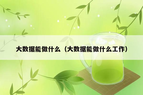 大数据能做什么（大数据能做什么工作） 