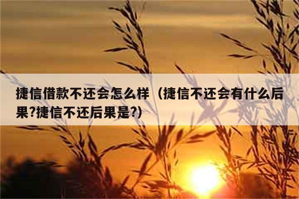 捷信借款不还会怎么样（捷信不还会有什么后果?捷信不还后果是?） 