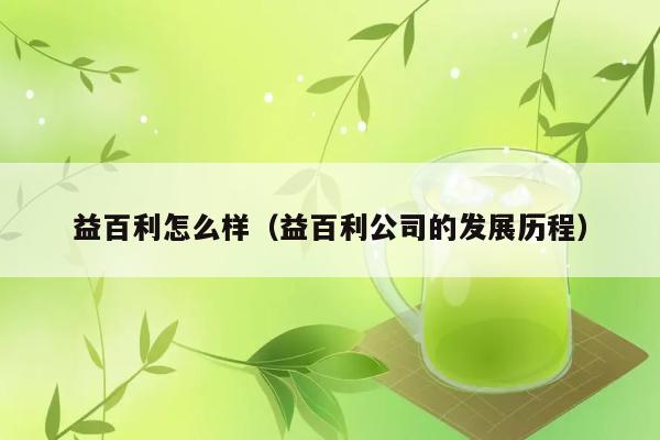 益百利怎么样（益百利公司的发展历程） 