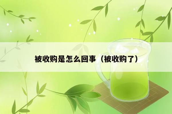 被收购是怎么回事（被收购了） 