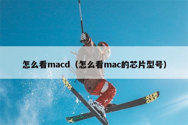 怎么看macd（怎么看mac的芯片型号） 