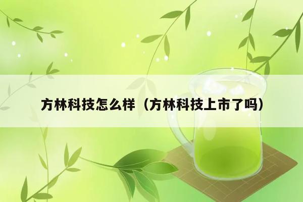 方林科技怎么样（方林科技上市了吗） 