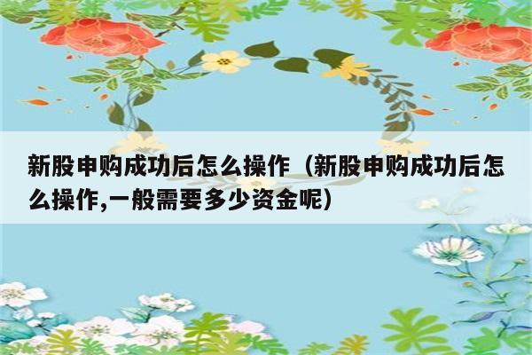 新股申购成功后怎么操作（新股申购成功后怎么操作,一般需要多少资金呢） 