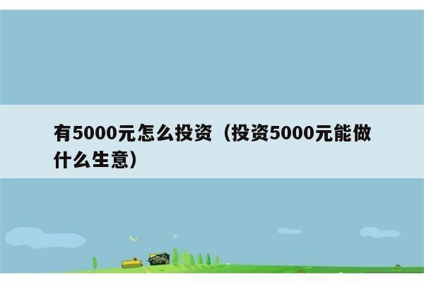 有5000元怎么投资（投资5000元能做什么生意） 